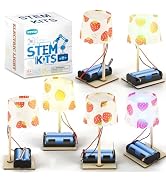 STEM Kits for Kids Age 6-8 8-10, 6 Bulk DIY Electric Circuit Lamp Kits for Kids Crafts 8-12, Scie...