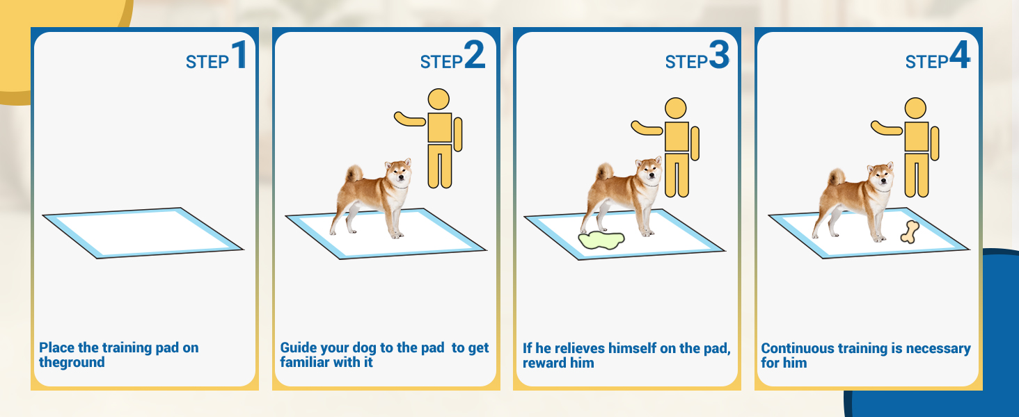 Tips of Pet Training