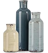 Ceramic Vase 3 Piece Set, Farmhouse Decor Multicolor Ceramic Small vase for Country Home Decorati...