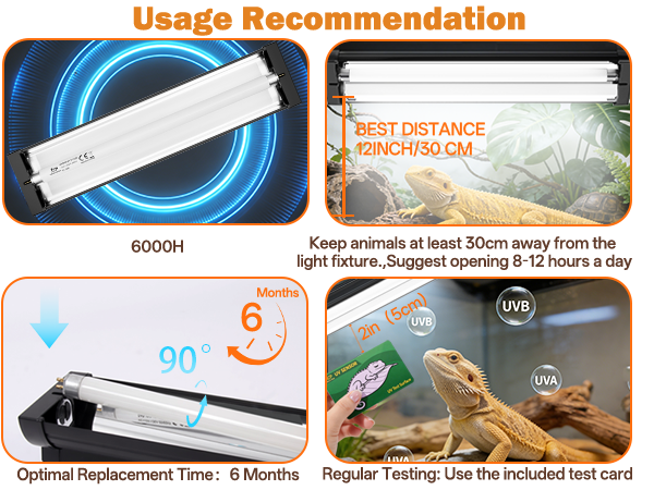 UVB Intensity 10.0,Wattage 8W,Length12inch; UV Test Card for Desert UVB Lighting and Reptile Care.