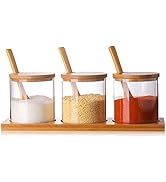 FANTESTICRYAN 3 PCS Stylish Simple Condiment Canisters Pots Set, Decorative Storage Seasoning Gla...
