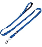 PUPTECK Reflective Dog Leash with Comfortable Padded Handle Durable Nylon Dog Lead for Small Medi...