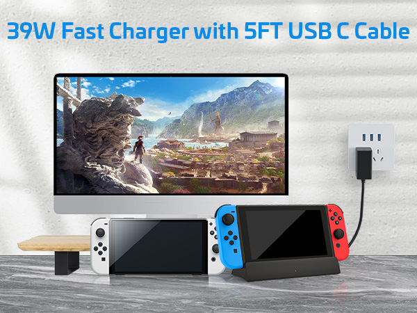 nintendo switch charger