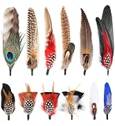 FeelfunFeather Hat Feathers, 12PCS Natural Feathers Peacock Feathers for Hats, Colorful Real Feat...