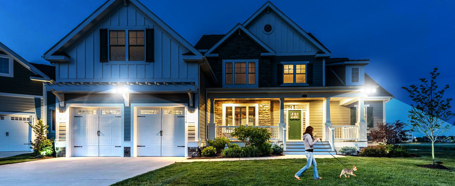 solar motion sensor light