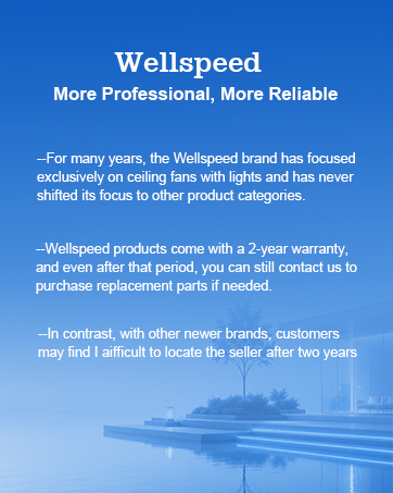 outdoor ceiling fans with lights