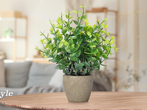 4 potted green plants