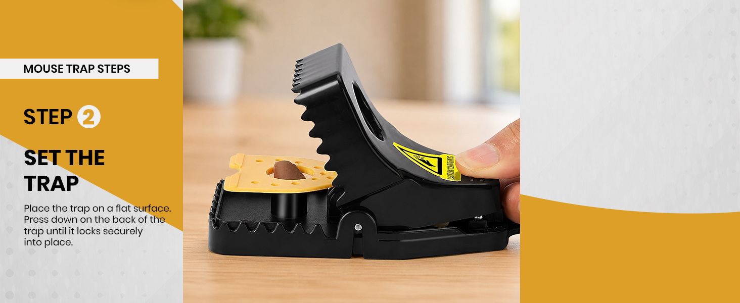 Mouse Traps