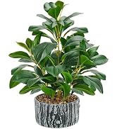 Der Rose 15.7" Artificial Plants Indoor for Office Desk Bathroom Decor | Fake plants round, broad...
