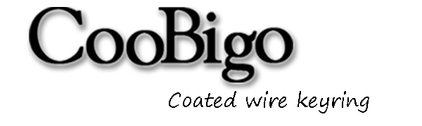 CooBigo Logo-1