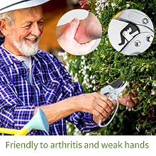 gardeners friend branch secateurs indoor florist cut arranging arrangements bushes ready to outdoor