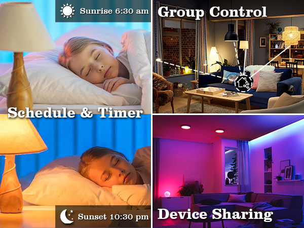 schedule & group