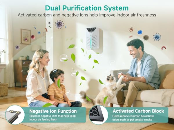 air ionizers for home
