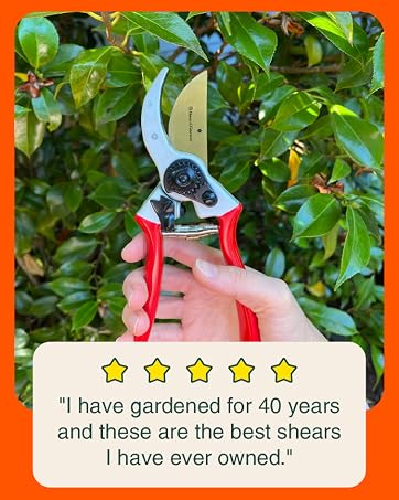 classicpro bypass pruning shears for gardens and gardening pruner