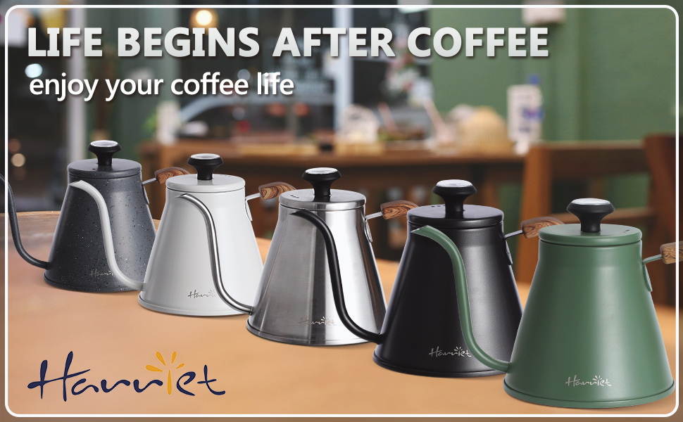 Harriet gooseneck kettle