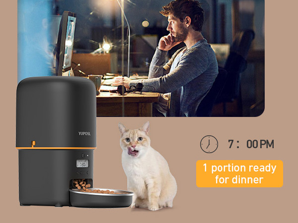 automatic cat feeder automatic cat food dispenser pet feeder
