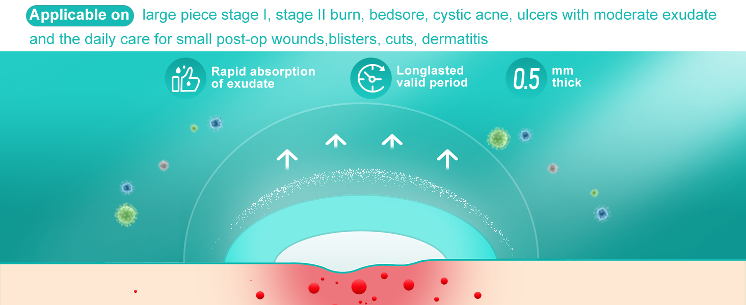Hydrocolloid Dressing