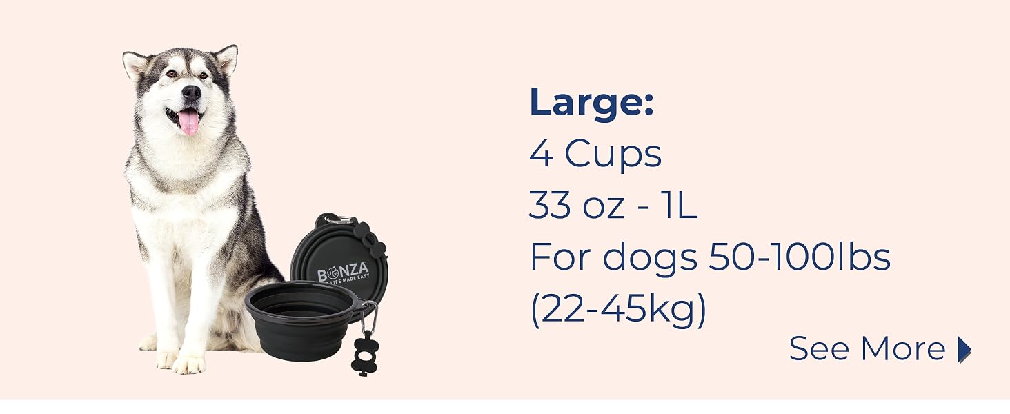 Collapsible Dog Bowl