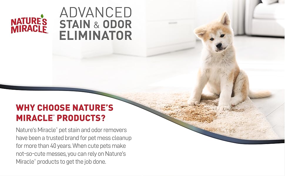 Advanced Stain and Odor