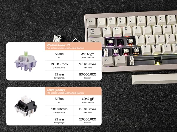 P65 Tri-Mode Wireless QMK/VIA Mechanical Keyboard