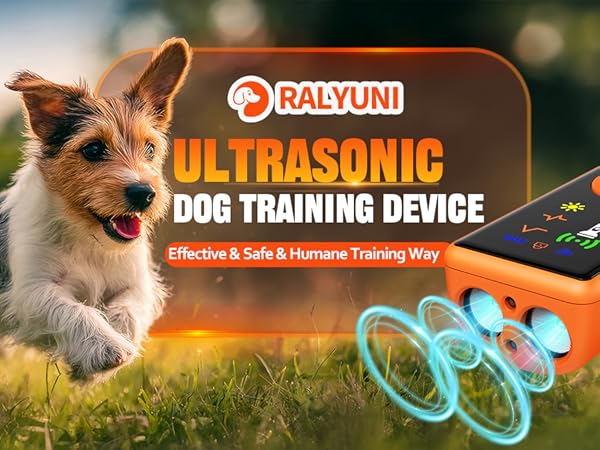 DOG TRAINING DECICE