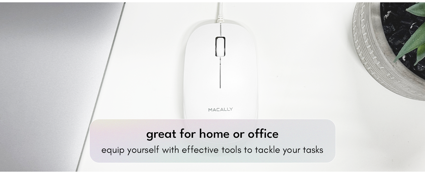 mouse