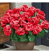 SITUMEIZI Artificial Geranium Flowers for Outdoors Geranium Red Flower Outdoor Garden Plants 4Pcs...