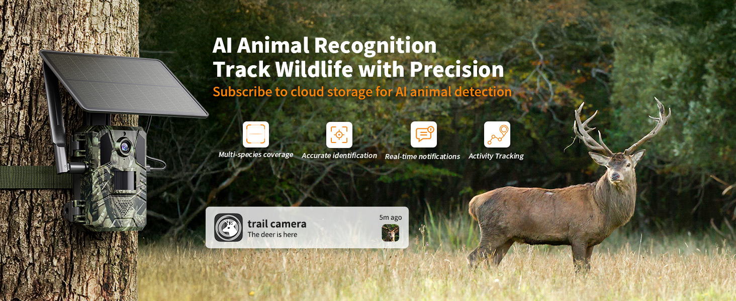 trail camera