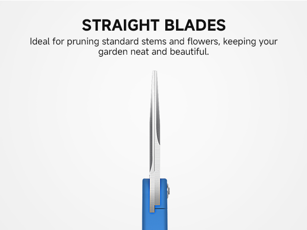 Pruning Shears