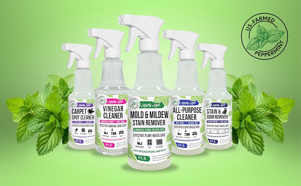 Mold, Mildew, Bathroom, Tile, Outdoor, Stain Remover, Mold Remover, sugelary, glassguard