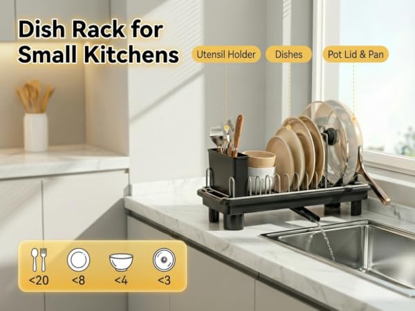 Dish Drainer for Sink