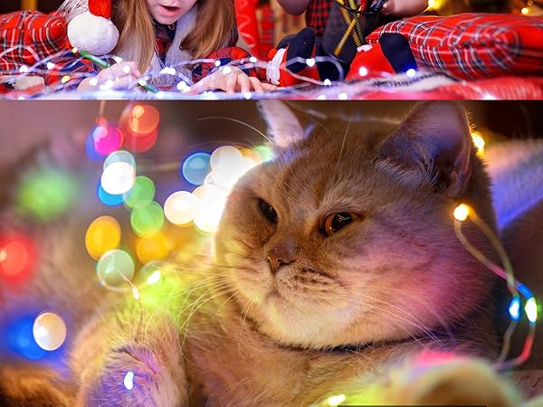 multicolor string lights
