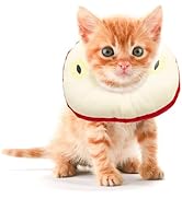 Jevnd Kitten Cones After Surgery 0-6 Months, Donut Extra Small Kittern Cone Collar Soft to Stop L...
