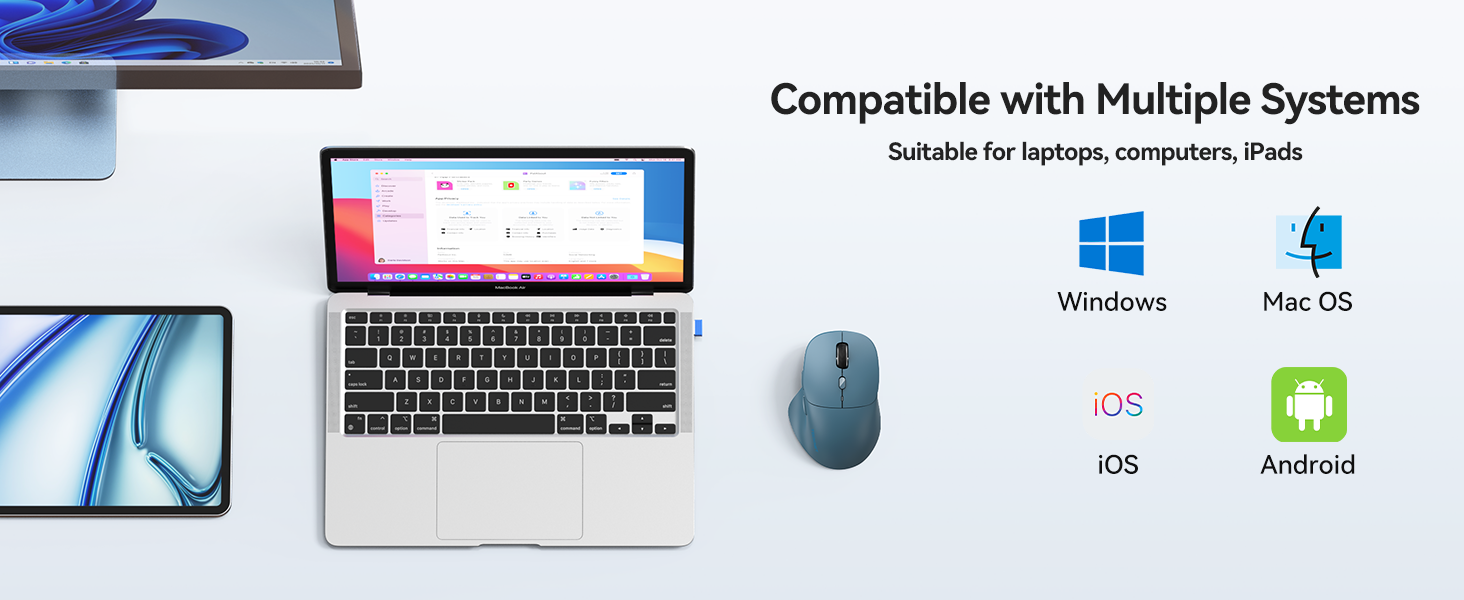 computer mouse