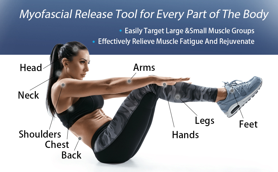Every Part of The Body