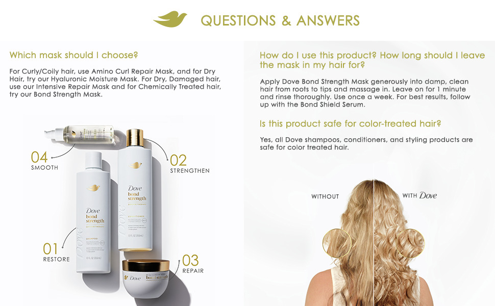 Q & A