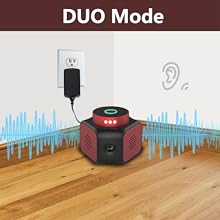 DUO ( Blue & Green light )