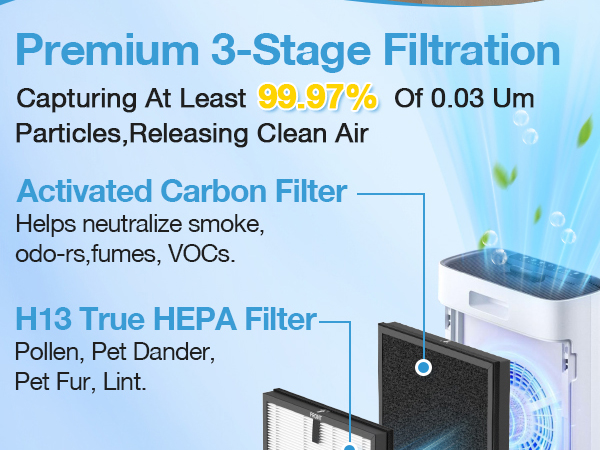 Air Purifier Replacement Filter for ECOSELF HAP603 Air Purifier