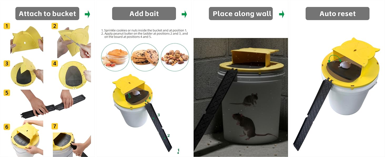4-step bucket lid mouse trap guide: easy assembly, bait placement, wall positioning, auto reset.