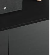 C10 Speaker