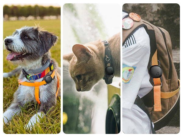 For pet collars For school bags For camping backpacks