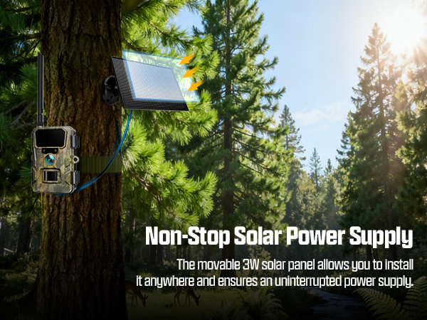 trail camera solar