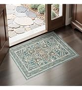WITSHOCK 2x3 Area Rugs for Living Room, Washable Non Slip Rugs for Entryway Kitchen Laundry Room,...