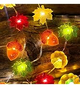 TURNMEON Fall Decor 30LED/10Ft 3D Pumpkin Lights Thanksgiving Fall Decorations for Home, 3 in 1 B...