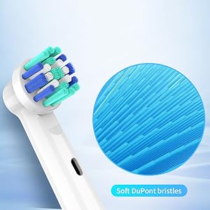 the new toothbrush with a toothbrush handle