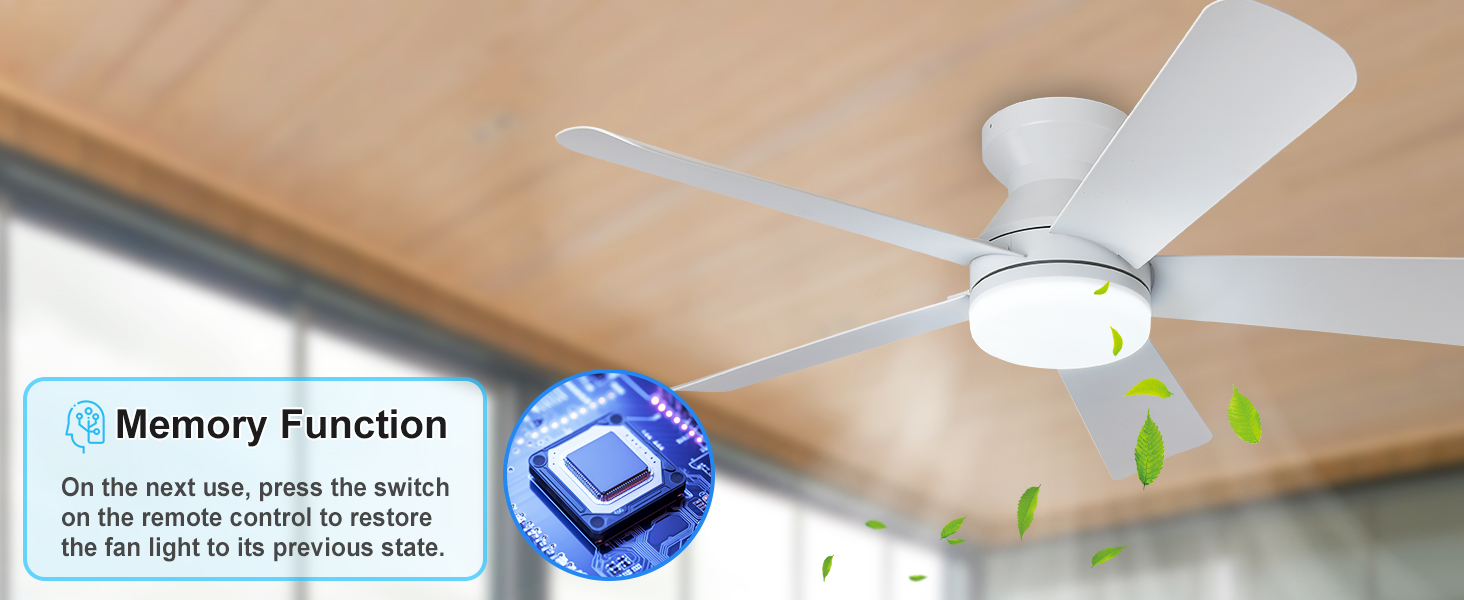 ceiling fans