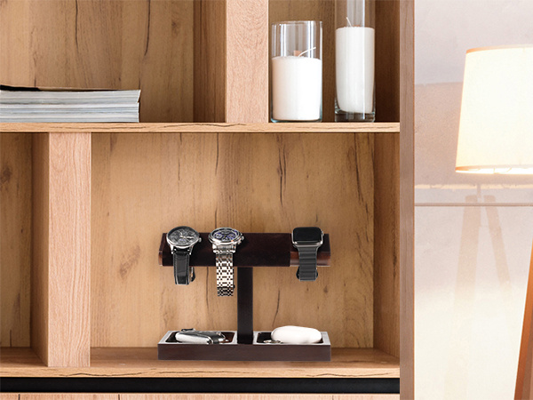 Watch organizer