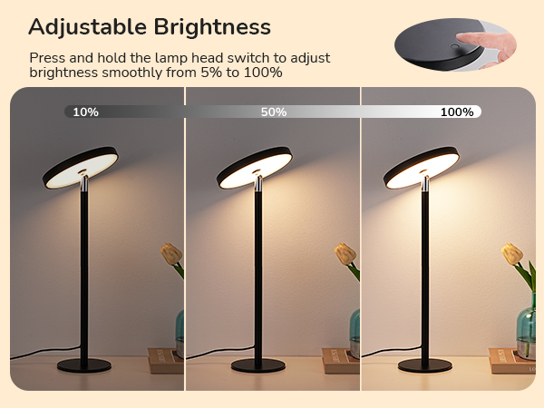 Adjustable Brightness