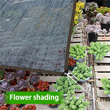 40% shading rate