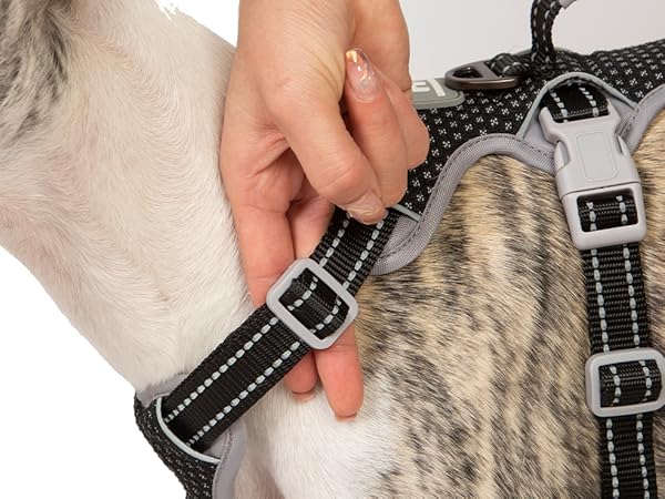 escape proof harness for dog